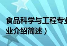 食品科學(xué)與工程專業(yè)介紹（食品科學(xué)與工程專業(yè)介紹簡(jiǎn)述）