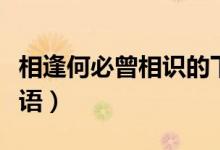 相逢何必曾相識(shí)的下句（相逢何必曾相識(shí)的成語）