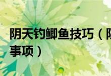 陰天釣鯽魚技巧（陰天釣鯽魚的小技巧和注意事項）