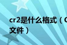 cr2是什么格式（CR2是佳能相機RAW格式文件）