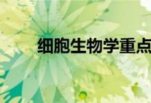 細(xì)胞生物學(xué)重點(diǎn)（都需要掌握什么）