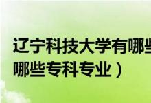 遼寧科技大學(xué)有哪些專業(yè)好（遼寧科技大學(xué)有哪些?？茖I(yè)）