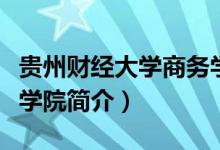 貴州財經(jīng)大學(xué)商務(wù)學(xué)院怎么樣（財經(jīng)大學(xué)商務(wù)學(xué)院簡介）