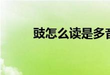 豉怎么讀是多音字嗎（豉怎么讀）