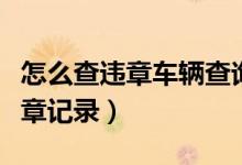 怎么查違章車(chē)輛查詢(xún)（怎么查詢(xún)自己的車(chē)子違章記錄）