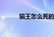 貓王怎么死的（貓王個(gè)人介紹）