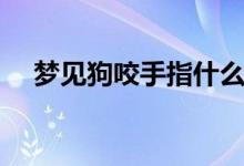 夢(mèng)見狗咬手指什么預(yù)兆（是不是不吉利）