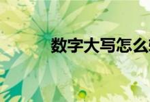數(shù)字大寫怎么轉換（數(shù)字 大寫）