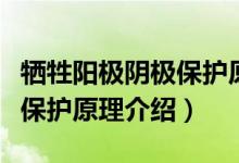 犧牲陽(yáng)極陰極保護(hù)原理是什么（犧牲陽(yáng)極陰極保護(hù)原理介紹）