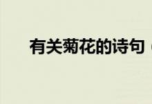有關菊花的詩句（菊花古詩十首賞析）