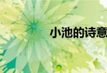 小池的詩意（小池的詩意）