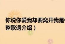 你說你愛我卻要離開我是什么歌（你說你愛我卻要離開我完整歌詞介紹）