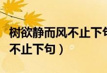 樹欲靜而風不止下句的作者是誰（樹欲靜而風不止下句）