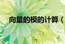 向量的模的計算（向量的模的計算公式）