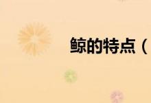 鯨的特點(diǎn)（鯨的特點(diǎn)介紹）