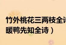 竹外桃花三兩枝全詩(shī)（竹外桃花三兩枝春江水暖鴨先知全詩(shī)）