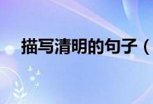 描寫(xiě)清明的句子（描寫(xiě)清明節(jié)的好句子）
