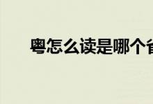 粵怎么讀是哪個(gè)省的簡(jiǎn)稱(chēng)（粵怎么讀）