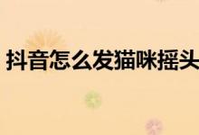 抖音怎么發(fā)貓咪搖頭表情包（一起來(lái)看看吧）