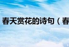 春天賞花的詩(shī)句（春天賞花的詩(shī)句唯美動(dòng)聽）