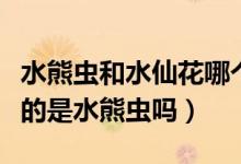 水熊蟲和水仙花哪個(gè)生命力更強(qiáng)（生命力最強(qiáng)的是水熊蟲嗎）