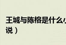 王城與陳榕是什么小說(shuō)（簡(jiǎn)述王城與陳榕的小說(shuō)）