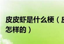 皮皮蝦是什么梗(皮皮蝦我們走的發(fā)展經(jīng)過是怎樣的)