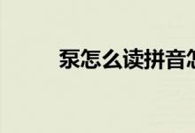 泵怎么讀拼音怎么寫(xiě)（泵怎么讀）