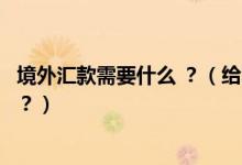 境外匯款需要什么 ？（給不同“海外匯款”都需要哪些信息？）