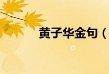 黃子華金句（黃子華經(jīng)典語(yǔ)錄）