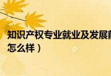 知識(shí)產(chǎn)權(quán)專業(yè)就業(yè)及發(fā)展前景（2022知識(shí)產(chǎn)權(quán)專業(yè)就業(yè)前景怎么樣）
