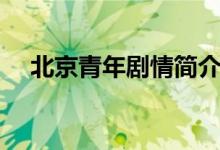 北京青年劇情簡(jiǎn)介（北京青年劇情介紹）