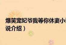 爆笑寵妃爺我等你休妻小說簡介（爆笑寵妃爺我等你休妻小說介紹）