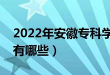 2022年安徽專科學(xué)校排名（最好的大專院校有哪些）