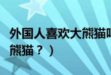 外國人喜歡大熊貓嗎（外國人到底有多喜歡大熊貓？）