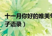 十一月你好的唯美句子（關(guān)于十一月的唯美句子語錄）
