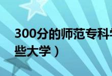 300分的師范?？茖W校有哪些（2021能上哪些大學）