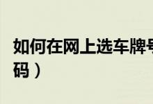 如何在網(wǎng)上選車牌號（如何從網(wǎng)上選擇車牌號碼）