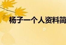 楊子一個(gè)人資料簡(jiǎn)介（楊子一個(gè)人簡(jiǎn)介）