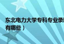 東北電力大學(xué)專科專業(yè)錄取分?jǐn)?shù)線（東北電力大學(xué)?？茖I(yè)有哪些）