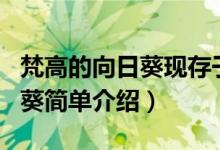梵高的向日葵現(xiàn)存于哪個(gè)博物館（梵高的向日葵簡(jiǎn)單介紹）