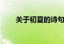關于初夏的詩句（初夏的詩句大全）