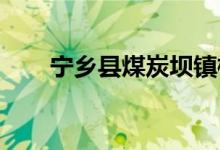 寧鄉(xiāng)縣煤炭壩鎮(zhèn)楠竹小學的地址在哪