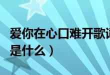 愛(ài)你在心口難開(kāi)歌詞（愛(ài)你在心口難開(kāi)的歌詞是什么）