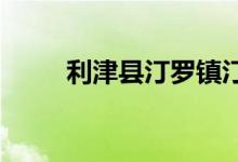 利津縣汀羅鎮(zhèn)汀河小學的地址在哪