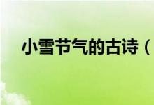 小雪節(jié)氣的古詩(shī)（小雪節(jié)氣的古詩(shī)精選）
