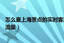怎么查上海景點(diǎn)的實(shí)時(shí)客流量（如何查詢上海景點(diǎn)的實(shí)時(shí)客流量）