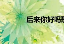 后來你好嗎歌詞（歌手簡(jiǎn)介）