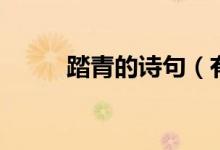 踏青的詩句（有關踏青的古詩詞）