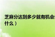 芝麻分達(dá)到多少就有機(jī)會(huì)免押金使用神州租車(chē)（神州租車(chē)是什么）